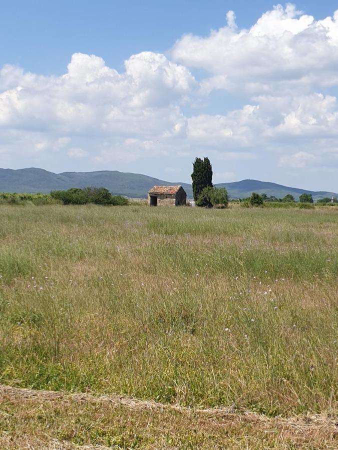 La Grange Du Cade Villa Magalas Kültér fotó